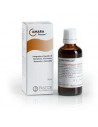 Amara 50ml gocce pascoe named