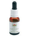 Bush fuchsia australian 15ml