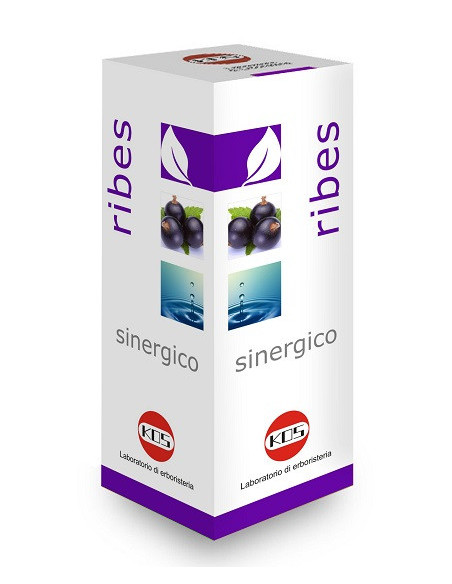 Ribes sinergico gocce 100ml