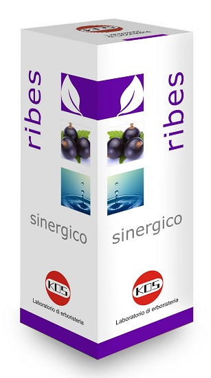 Image of Ribes sinergico gtt 100ml cod085