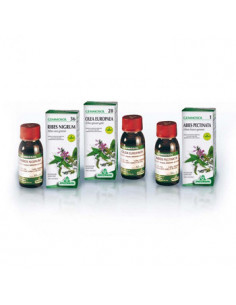 Fico 50ml gm 1dh gemme specchi