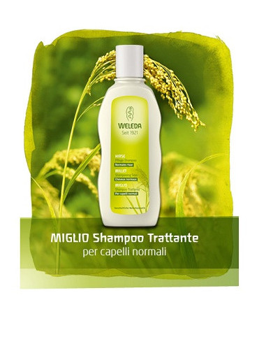 Miglio shampoo 190ml