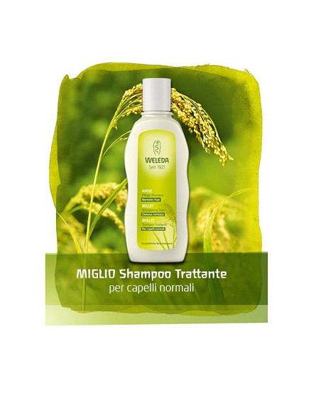 Miglio shampoo 190ml
