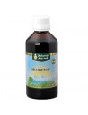 Brahmimap sciroppo 200ml nf am