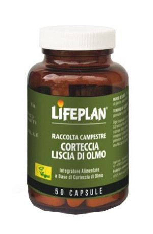 Corteccia liscia di olma 50 capsule
