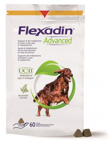Flexadin advanced cane 60tav m