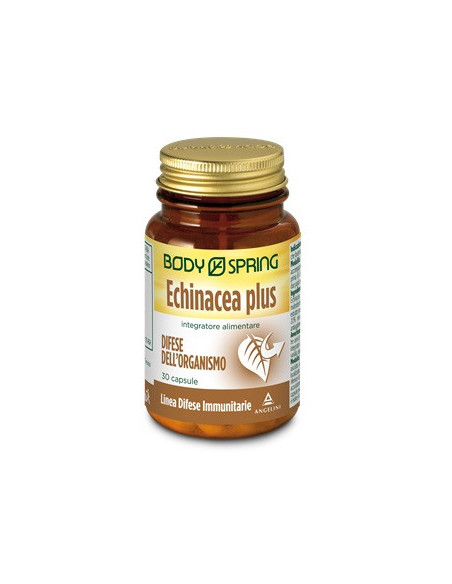Body spring echinacea 30 capsule