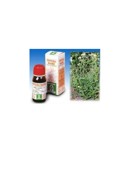 Achillea 50ml tm specchiasol