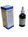 Biodren s 50ml gocce biogroup