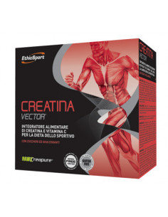Creatina vector 20 bustine 8g