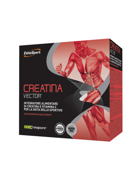 Creatina vector 20 bustine 8g