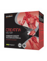 Creatina vector 20 bustine 8g