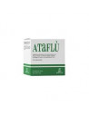 Ataflu 14bust