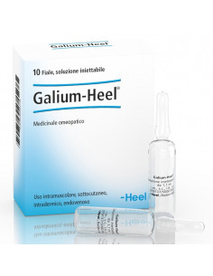 Galium 10f 1,1ml heel