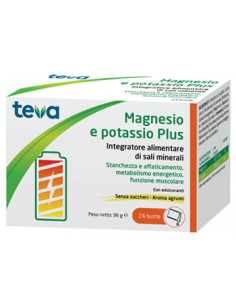 Magnesio potassio plus 24bust