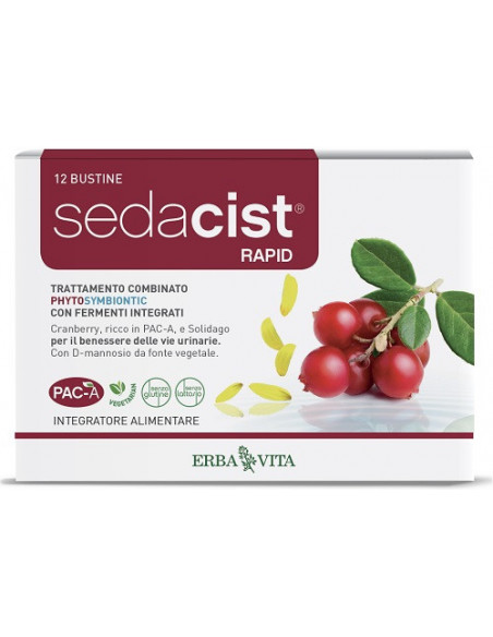 Sedacist rapid 6 piu 6bust