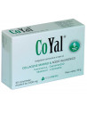 Coyal 30cpr 1300mg
