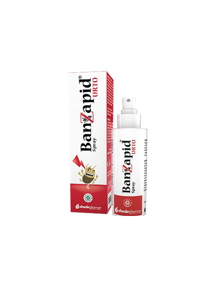 Banzapid spr trattamento 100ml
