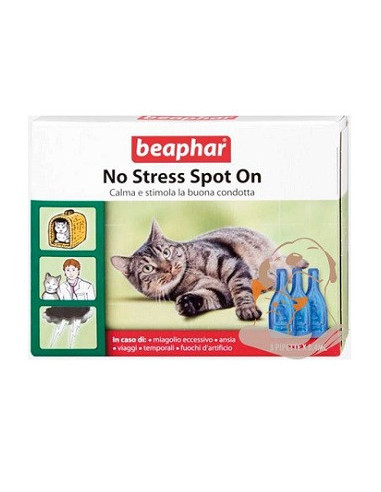 No stress spot on gatto 3 pip