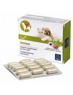 Immun 60 compresse - CAMON | Clubfarma