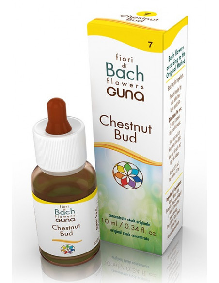 He.chestnut gun gocce 10ml f.bac