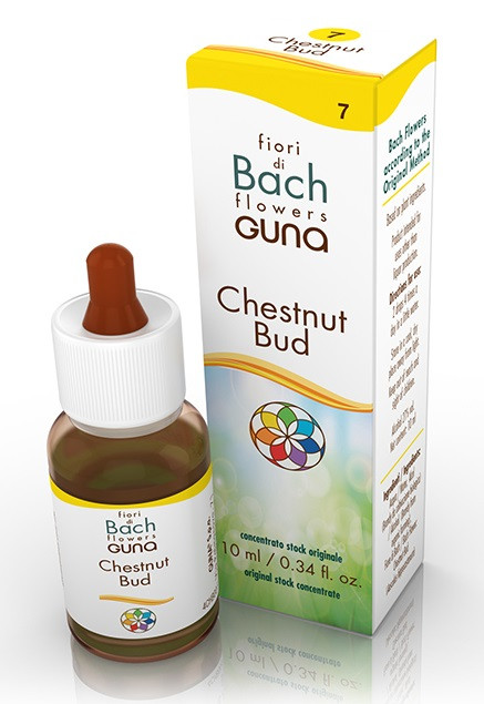 He.chestnut gun gtt 10ml f.bac