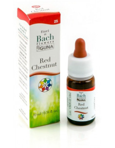 Red chestnut gun gocce 10ml