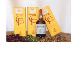 Image of Ribes gemme 50ml mg cod085