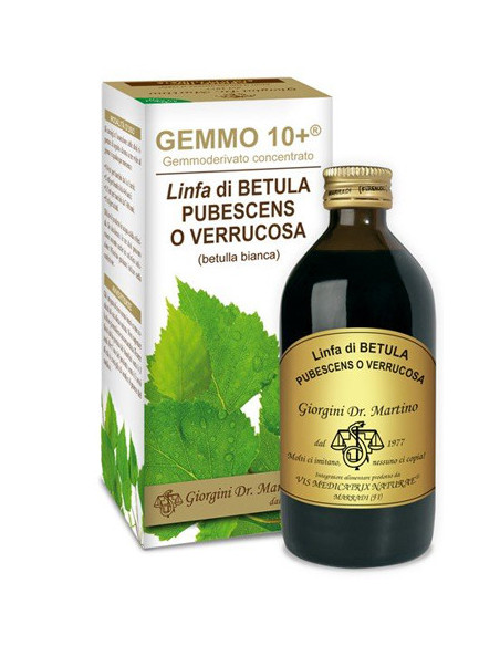 Betulla b linfa an gemm10+ 200