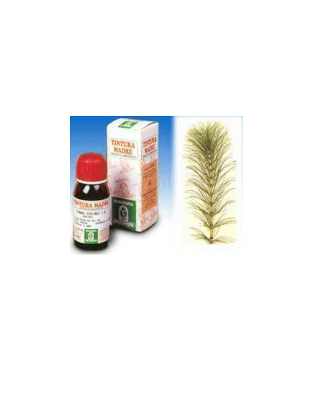 Equiseto 50ml tm specchiasol