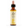Gorse fiori di bach original 20ml