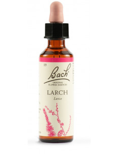 Larch fiori di bach original 20ml