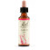 Larch fiori di bach original 20ml