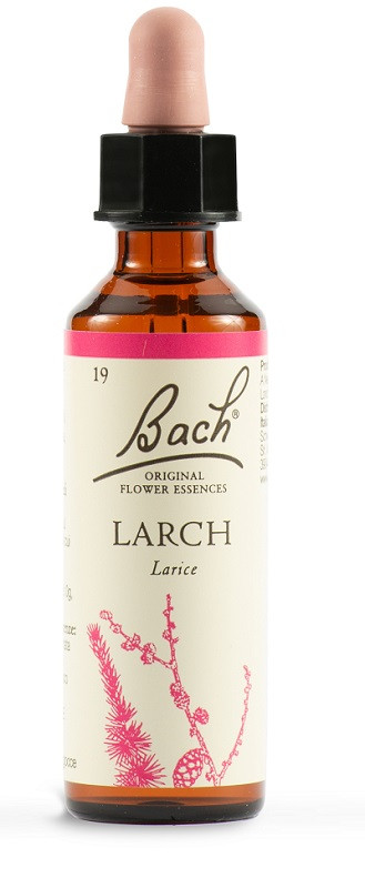 Larch fiori di bach original 20ml
