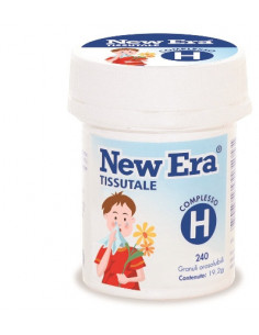 New era h 240gr