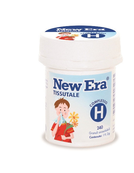 New era h 240gr