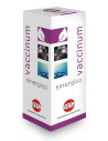 Vaccinium sinergico gocce 100ml