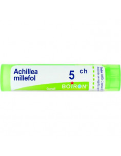Achillea millef 5ch gr
