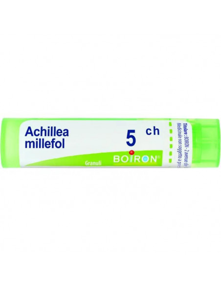 Achillea millef 5ch gr