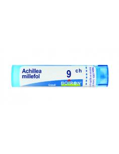 Achillea millef 9ch gr