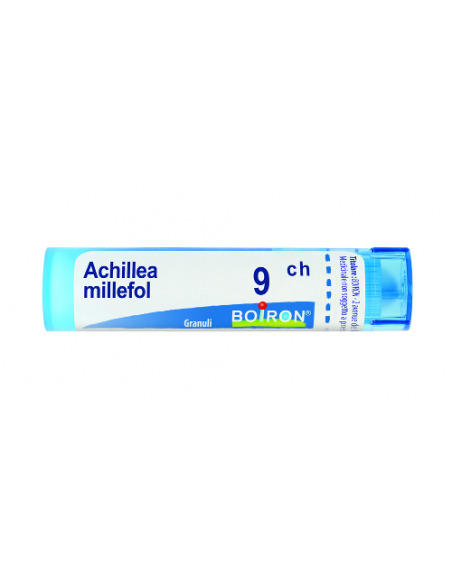 Achillea millef 9ch gr