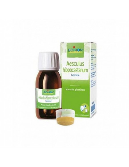 Aesculus hippocas 100ml mg