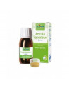 Aesculus hippocas 100ml mg