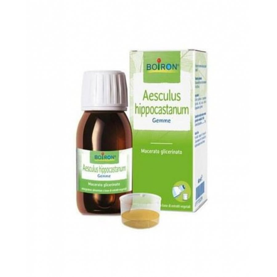 Image of Aesculus hippocas 100ml mg cod085