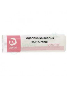 Agaricus muscarius 6ch gr