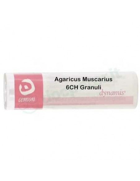 Agaricus muscarius 6ch gr