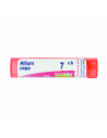 Allium cepa 7ch 80gr 4g