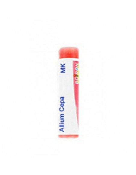 Allium cepa mk gl