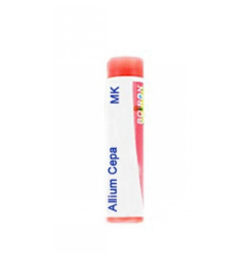 Allium cepa mk gl
