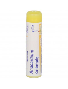 Anacardium orien mk gl